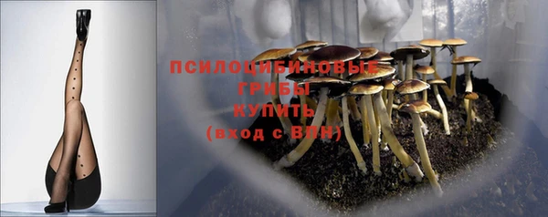 mdpv Новозыбков