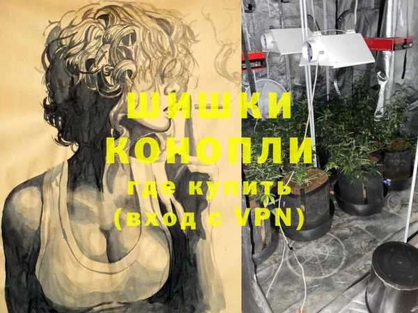 mdpv Новозыбков